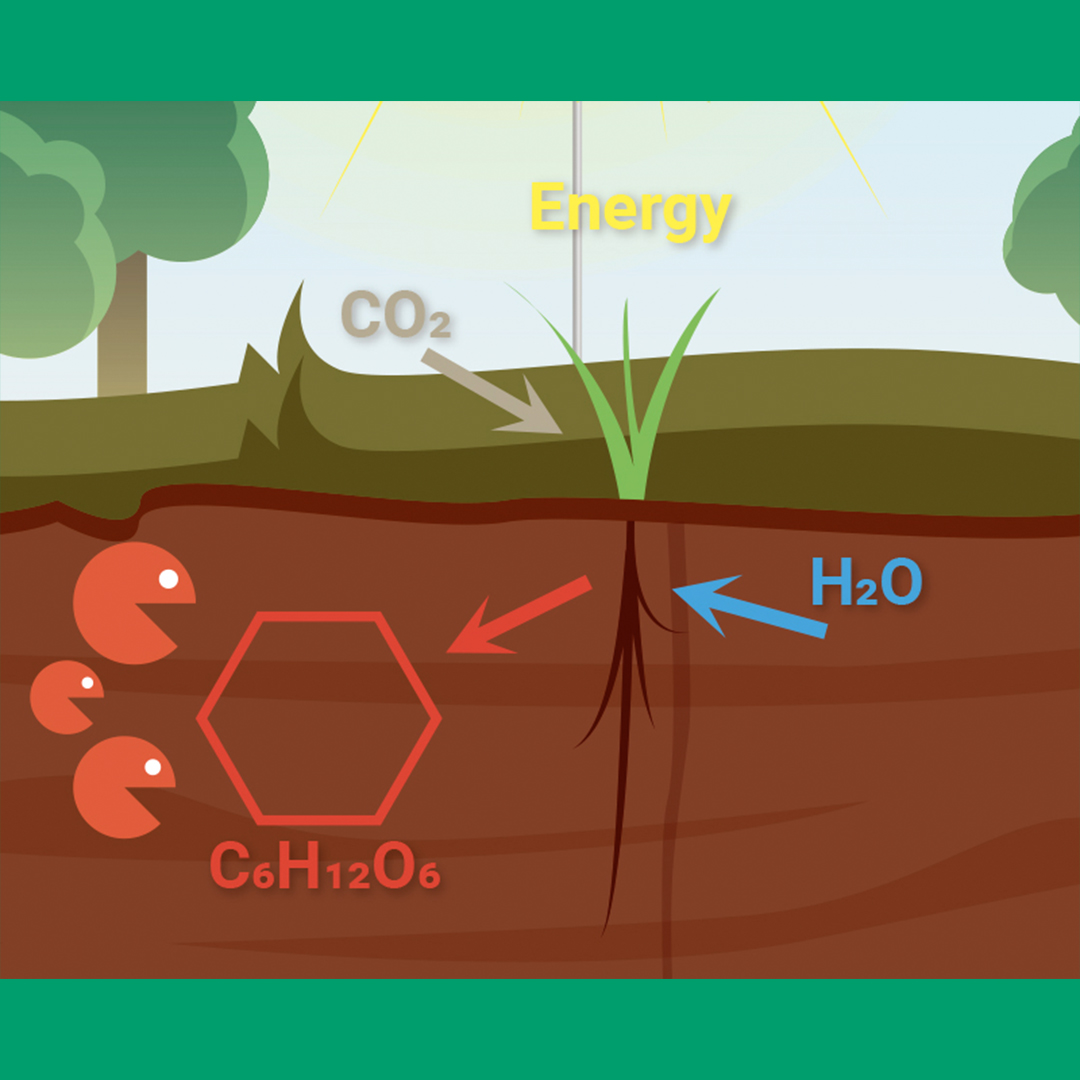 TourTurf® Thatch-Less® MCB MolCarb 1-0-4 + 60% Carbo